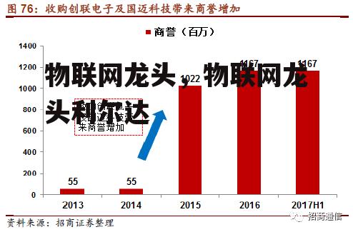 物联网龙头，物联网龙头利尔达