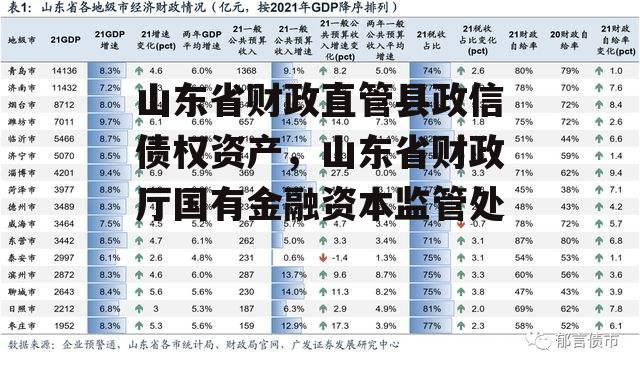 山东省财政直管县政信债权资产，山东省财政厅国有金融资本监管处