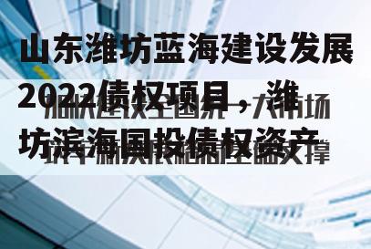 山东潍坊蓝海建设发展2022债权项目，潍坊滨海国投债权资产