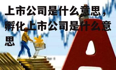 上市公司是什么意思，孵化上市公司是什么意思