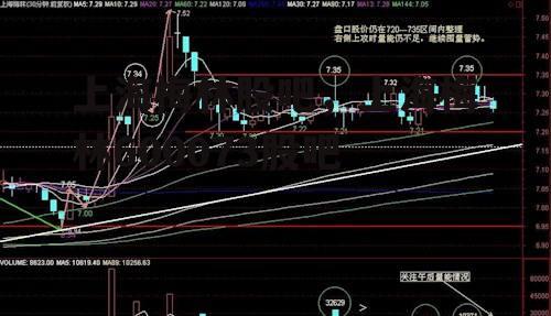 上海梅林股吧，上海梅林600073股吧