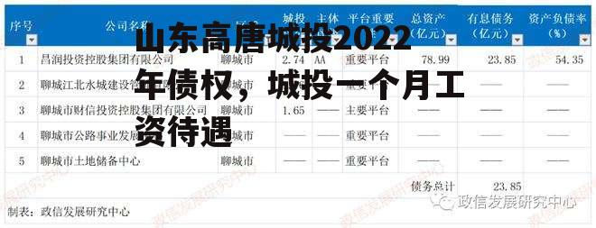 山东高唐城投2022年债权，城投一个月工资待遇