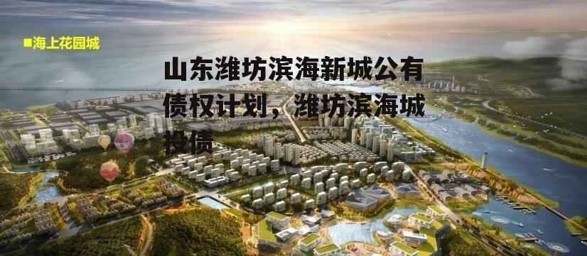 山东潍坊滨海新城公有债权计划，潍坊滨海城投债