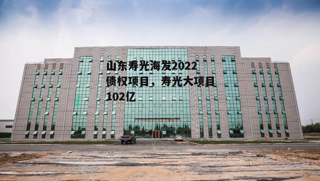 山东寿光海发2022债权项目，寿光大项目102亿