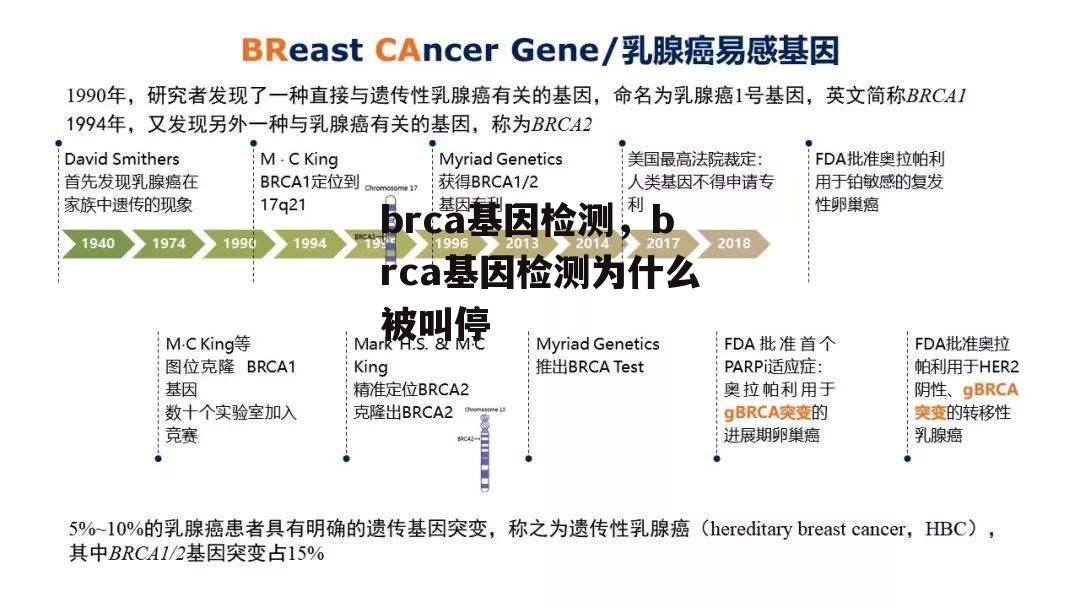 brca基因检测，brca基因检测为什么被叫停