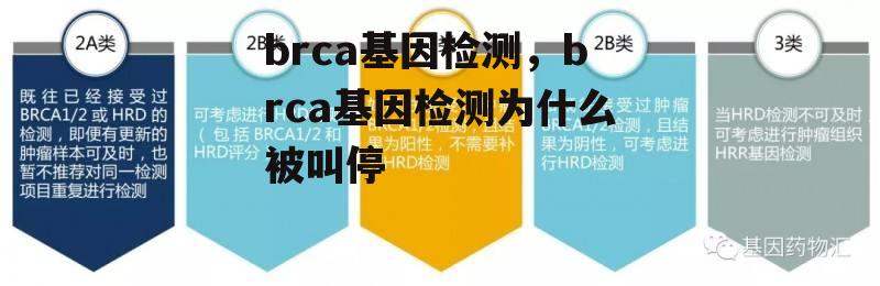 brca基因检测，brca基因检测为什么被叫停