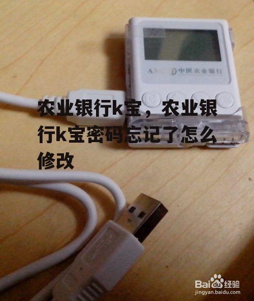 农业银行k宝，农业银行k宝密码忘记了怎么修改