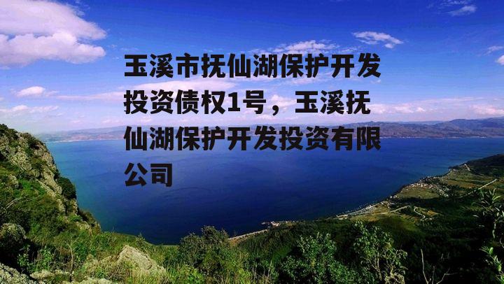 玉溪市抚仙湖保护开发投资债权1号，玉溪抚仙湖保护开发投资有限公司