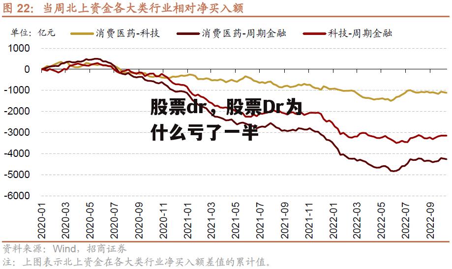 股票dr，股票Dr为什么亏了一半