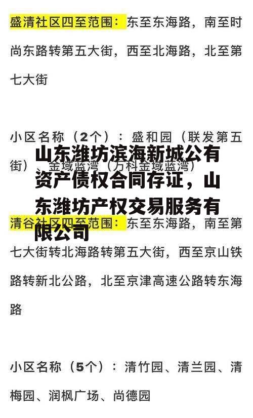 山东潍坊滨海新城公有资产债权合同存证，山东潍坊产权交易服务有限公司