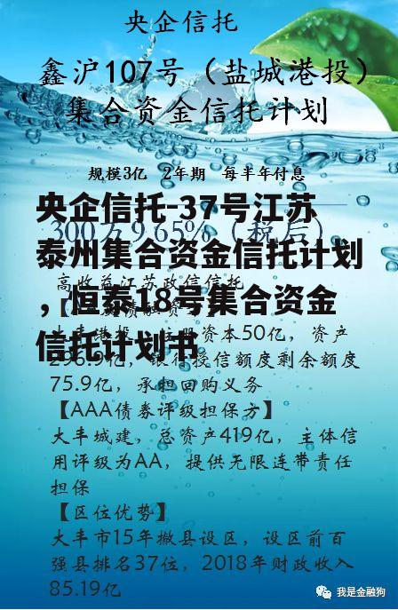 央企信托-37号江苏泰州集合资金信托计划，恒泰18号集合资金信托计划书