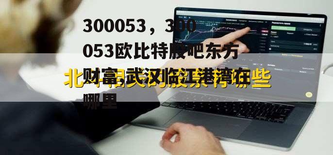 300053，300053欧比特股吧东方财富,武汉临江港湾在哪里