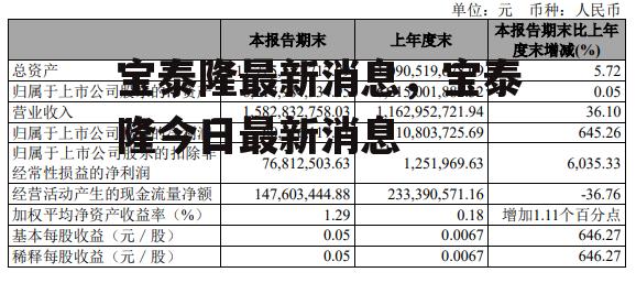 宝泰隆最新消息，宝泰隆今日最新消息