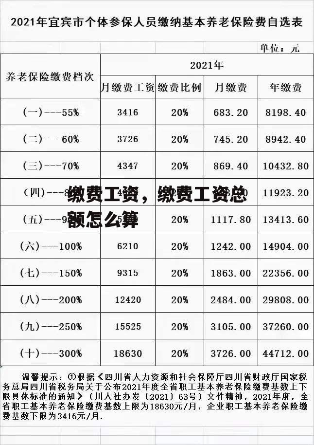 缴费工资，缴费工资总额怎么算