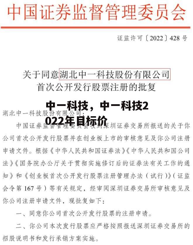 中一科技，中一科技2022年目标价