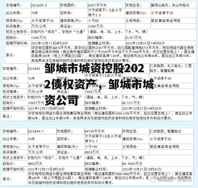 邹城市城资控股2022债权资产，邹城市城资公司