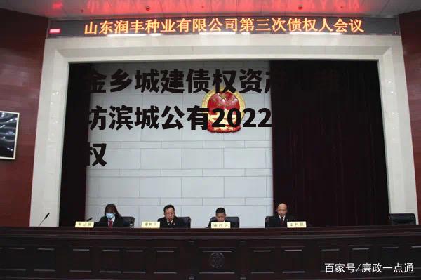 金乡城建债权资产，潍坊滨城公有2022债权