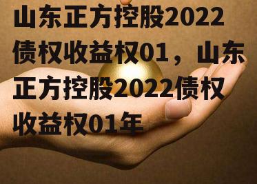 山东正方控股2022债权收益权01，山东正方控股2022债权收益权01年