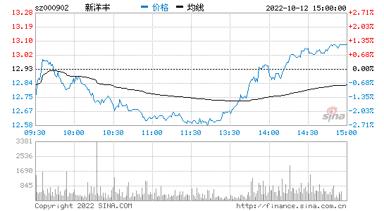 新股票发行，新股票发行价和市盈率分别是什么意思?