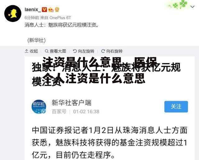 注资是什么意思，医保个人注资是什么意思