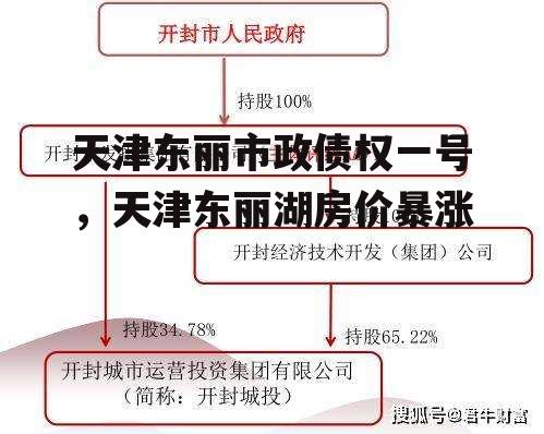 天津东丽市政债权一号，天津东丽湖房价暴涨