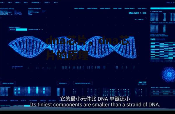 dna芯片，dna芯片的原理