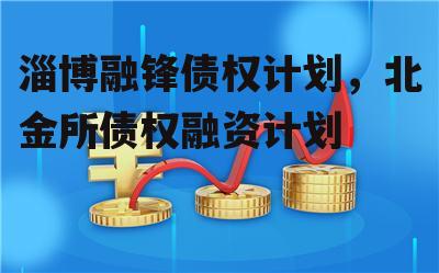 淄博融锋债权计划，北金所债权融资计划