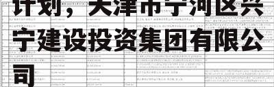 天津兴宁建投债权转让计划，天津市宁河区兴宁建设投资集团有限公司