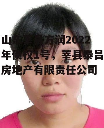 山东莘县方润2022年债权1号，莘县泰昌房地产有限责任公司