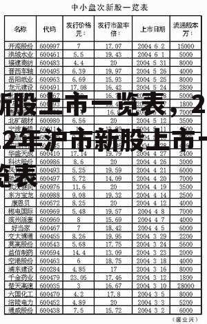 新股上市一览表，2022年沪市新股上市一览表