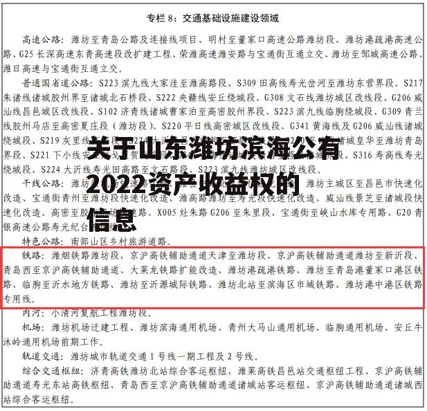 关于山东潍坊滨海公有2022资产收益权的信息