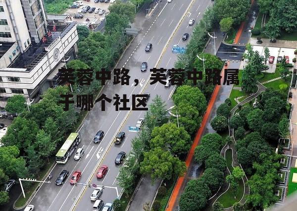 芙蓉中路，芙蓉中路属于哪个社区