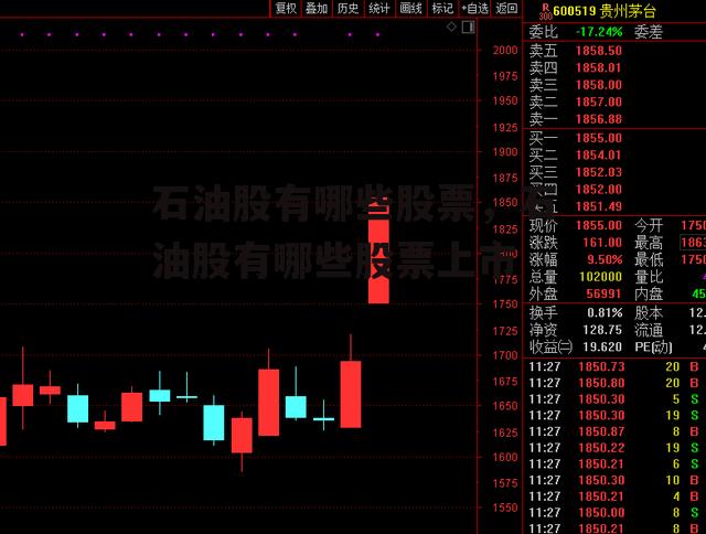 石油股有哪些股票，石油股有哪些股票上市