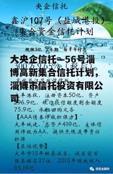 大央企信托—56号淄博高新集合信托计划，淄博市信托投资有限公司