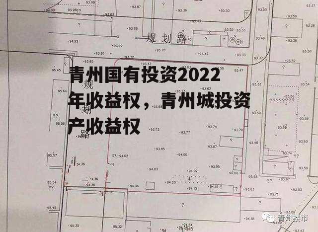 青州国有投资2022年收益权，青州城投资产收益权