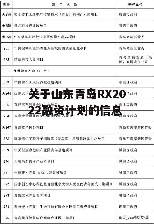 关于山东青岛RX2022融资计划的信息