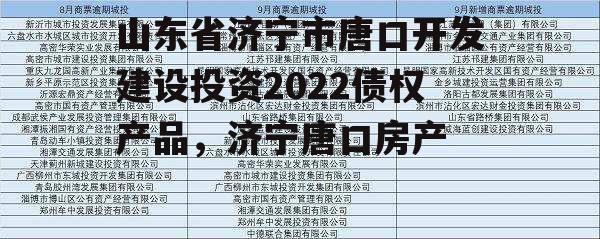 山东省济宁市唐口开发建设投资2022债权产品，济宁唐口房产