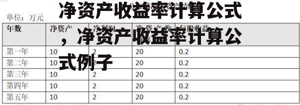 净资产收益率计算公式，净资产收益率计算公式例子