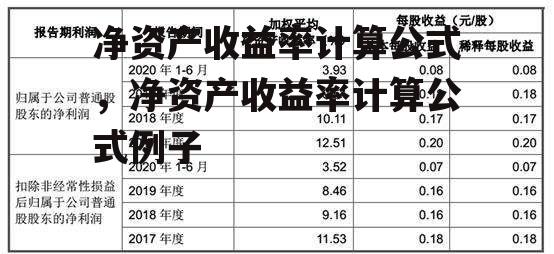 净资产收益率计算公式，净资产收益率计算公式例子