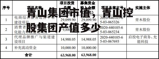 青山集团市值，青山控股集团产值多少