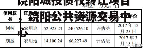 饶阳城投债权转让项目，饶阳公共资源交易中心