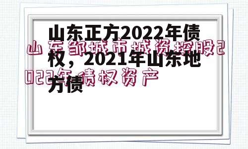 山东正方2022年债权，2021年山东地方债