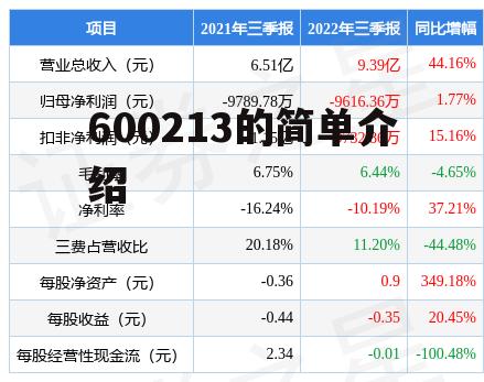 600213的简单介绍