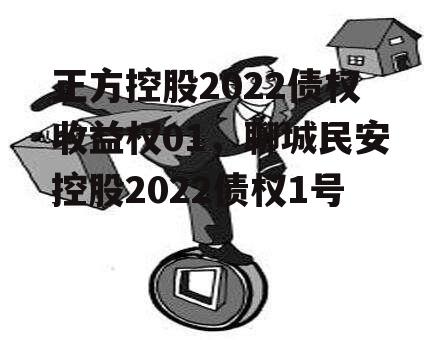 正方控股2022债权收益权01，聊城民安控股2022债权1号