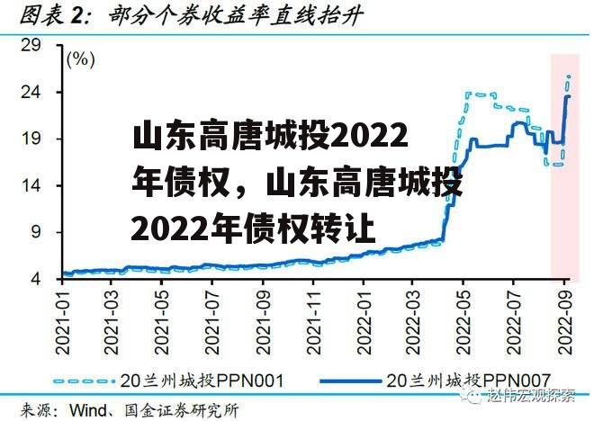 山东高唐城投2022年债权，山东高唐城投2022年债权转让