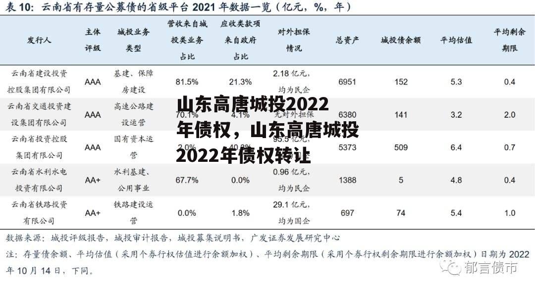 山东高唐城投2022年债权，山东高唐城投2022年债权转让