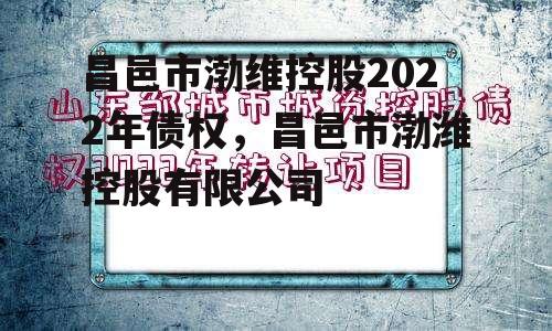 昌邑市渤维控股2022年债权，昌邑市渤潍控股有限公司