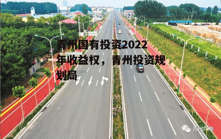 青州国有投资2022年收益权，青州投资规划局