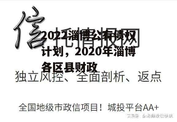 2022淄博公有债权计划，2020年淄博各区县财政