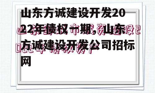 山东方诚建设开发2022年债权一期，山东方诚建设开发公司招标网